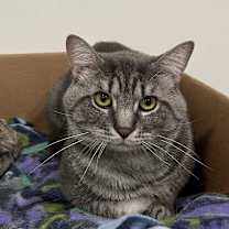 Thumbnail photo of Lofty #1