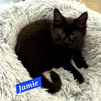 Thumbnail photo of Jamie #1