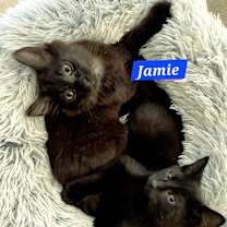 Thumbnail photo of Jamie #2