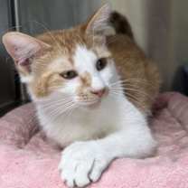 Thumbnail photo of June #2