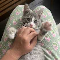 Thumbnail photo of Timmy #2