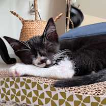 Thumbnail photo of Kevin [Foster Home] #2