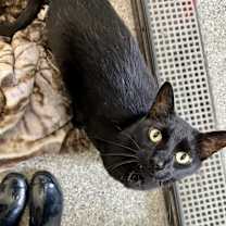 Thumbnail photo of Juicy Juice #3