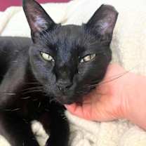 Thumbnail photo of Rego #2