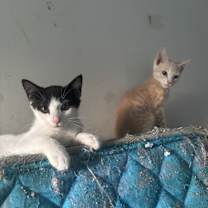 Thumbnail photo of Dorothy #1