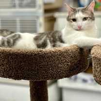 Thumbnail photo of Elmer #2