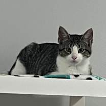 Thumbnail photo of Shay  #2