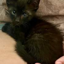 Thumbnail photo of John Deere #2