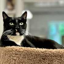 Thumbnail photo of Charlie #1
