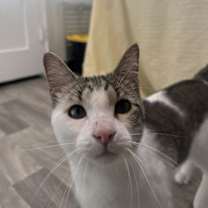 Thumbnail photo of Bubba Duke #1