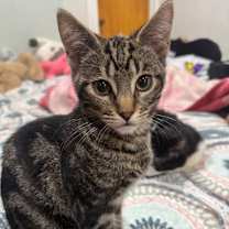 Thumbnail photo of Tim #2