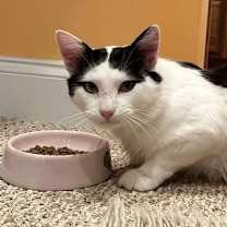 Thumbnail photo of Jack #1