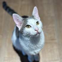 Thumbnail photo of Bartholomew #1