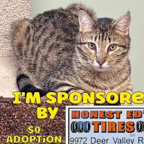 Thumbnail photo of Mikhail #1