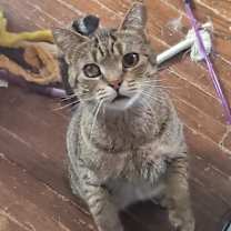 Thumbnail photo of Maya #3