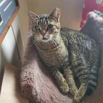 Thumbnail photo of Maya #4