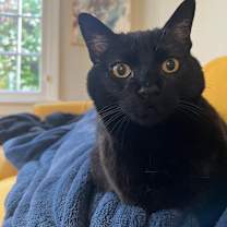 Thumbnail photo of Coco #2