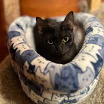 Thumbnail photo of Louise #3