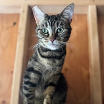 Thumbnail photo of Alicia #3