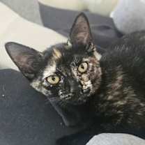 Thumbnail photo of Olivia #4