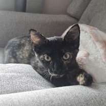 Thumbnail photo of Sabrina #4