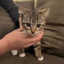 Thumbnail photo of Gerri #2