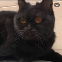 Thumbnail photo of Mindy #1