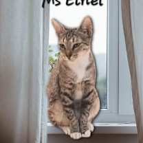 Thumbnail photo of Ms Ethel #low-maintenance #3