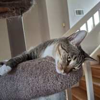 Thumbnail photo of Ms Ethel #low-maintenance #4