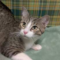 Thumbnail photo of Hans #2