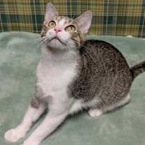 Thumbnail photo of Hans #4