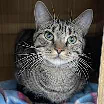 Thumbnail photo of Gator 2 #1