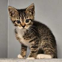 Thumbnail photo of Zena #3