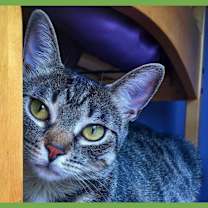 Thumbnail photo of Butters #1