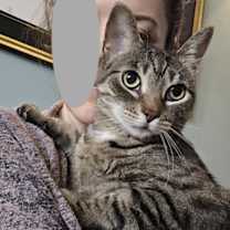 Thumbnail photo of Butters #2