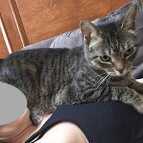 Thumbnail photo of Butters #4