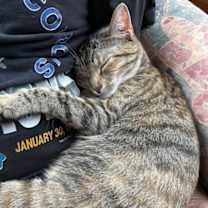 Thumbnail photo of Cleo #3