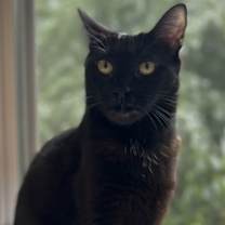 Thumbnail photo of Priscilla #2