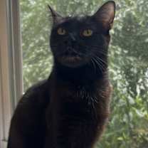 Thumbnail photo of Priscilla #4