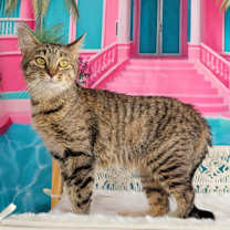 Thumbnail photo of Maya #3