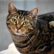 Thumbnail photo of Kate #4