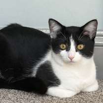 Thumbnail photo of Ms. Fancy #4