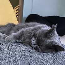 Thumbnail photo of Rocket #2