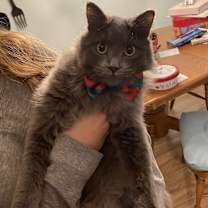 Thumbnail photo of Rocket #3