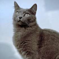 Thumbnail photo of Flower #1