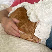 Thumbnail photo of Rusty #3