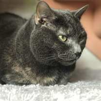 Thumbnail photo of Harper #4