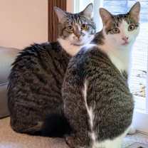 Thumbnail photo of Malcolm & Marnie #1