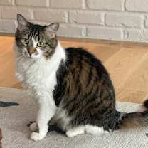 Thumbnail photo of Malcolm & Marnie #3