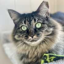 Thumbnail photo of Esmerelda #2